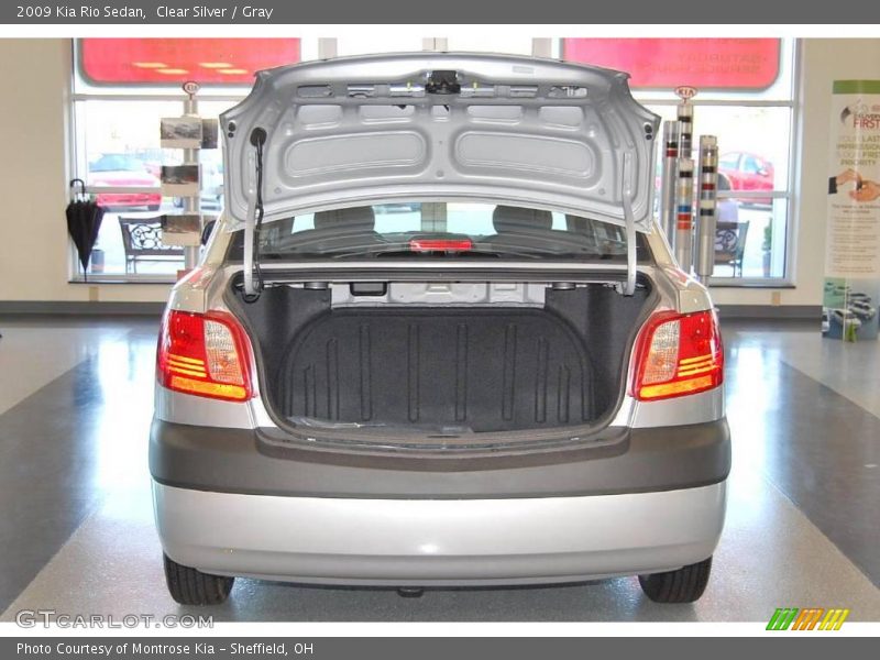 Clear Silver / Gray 2009 Kia Rio Sedan