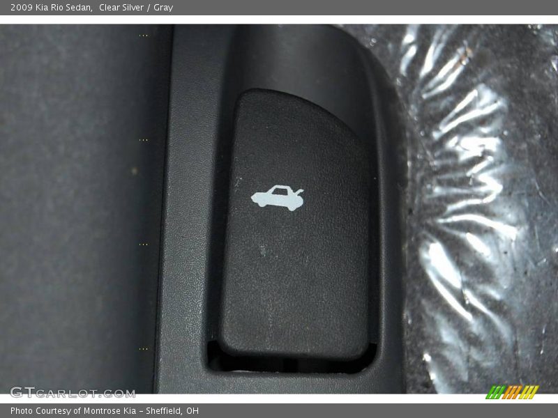 Clear Silver / Gray 2009 Kia Rio Sedan