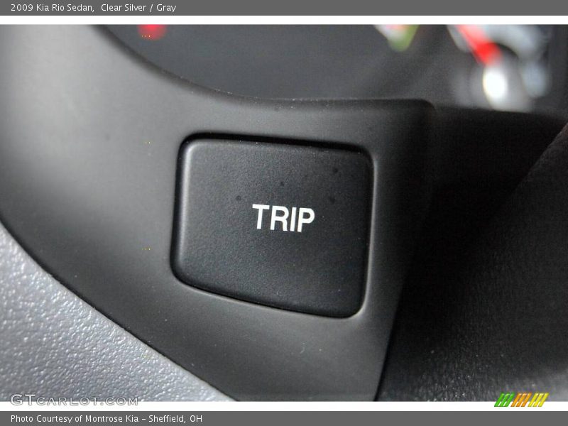 Clear Silver / Gray 2009 Kia Rio Sedan