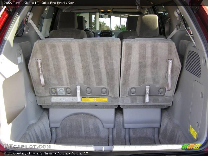 Salsa Red Pearl / Stone 2009 Toyota Sienna LE