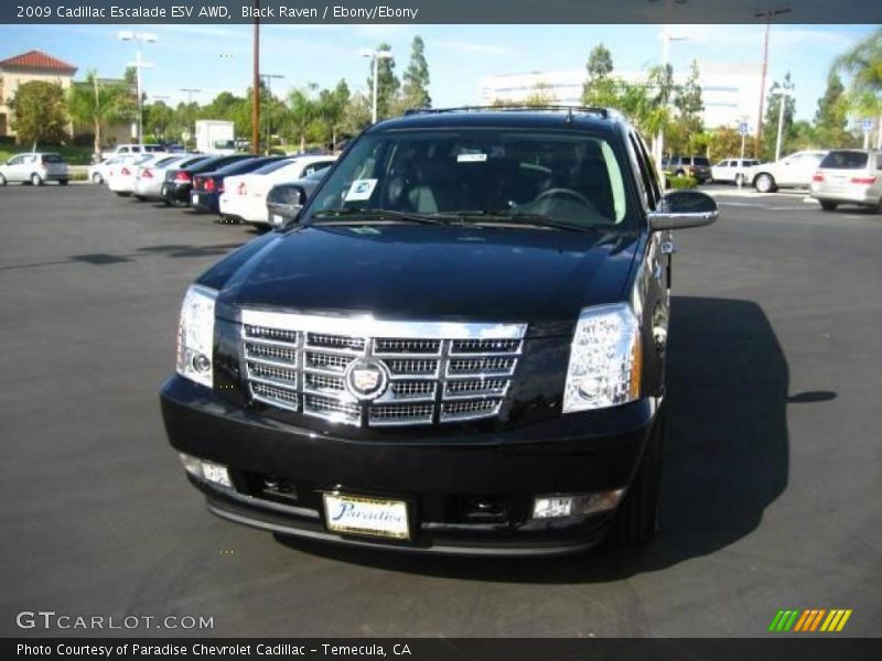 Black Raven / Ebony/Ebony 2009 Cadillac Escalade ESV AWD