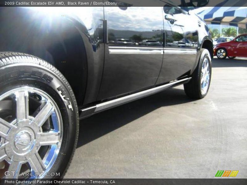 Black Raven / Ebony/Ebony 2009 Cadillac Escalade ESV AWD