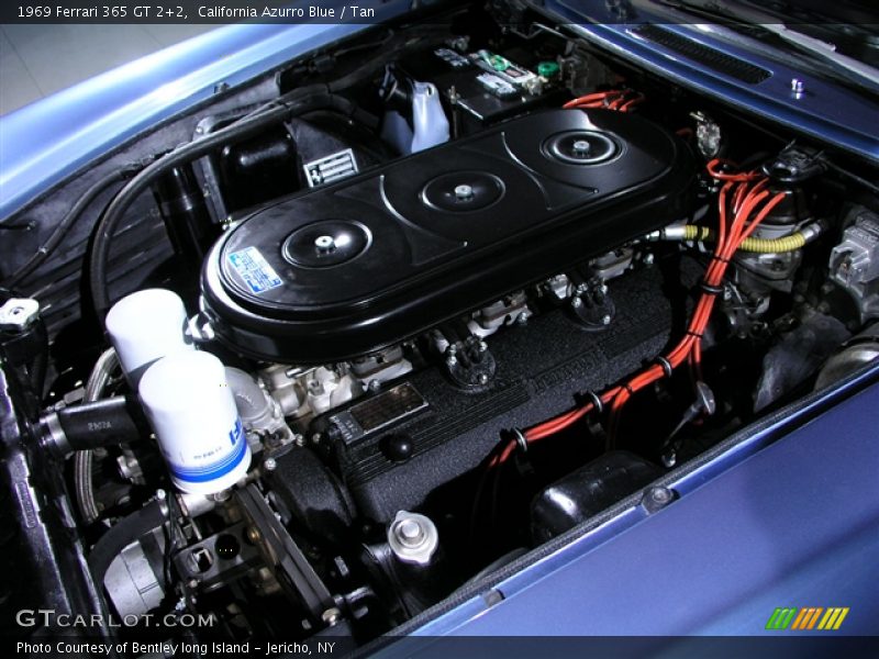 California Azurro Blue / Tan 1969 Ferrari 365 GT 2+2