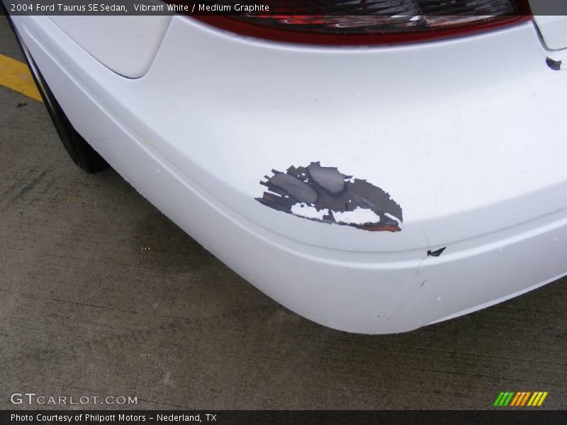 Vibrant White / Medium Graphite 2004 Ford Taurus SE Sedan