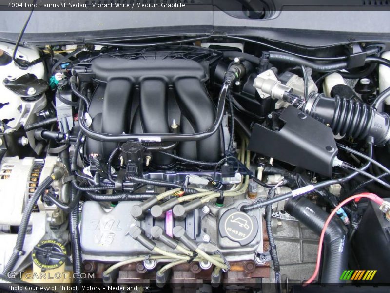 Vibrant White / Medium Graphite 2004 Ford Taurus SE Sedan