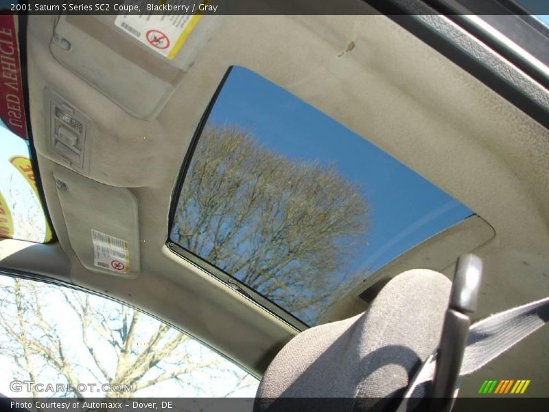Blackberry / Gray 2001 Saturn S Series SC2 Coupe