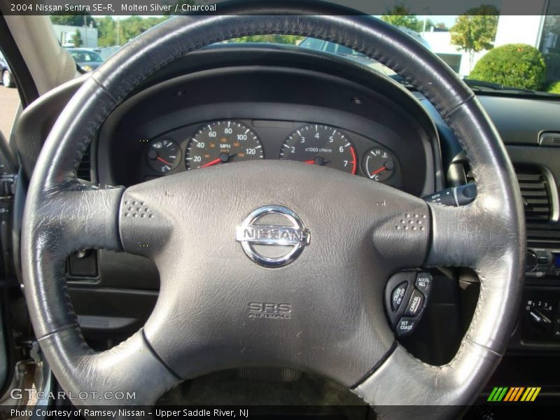 Molten Silver / Charcoal 2004 Nissan Sentra SE-R
