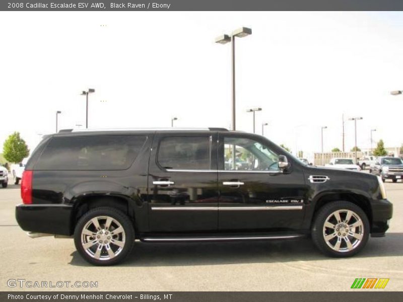 Black Raven / Ebony 2008 Cadillac Escalade ESV AWD