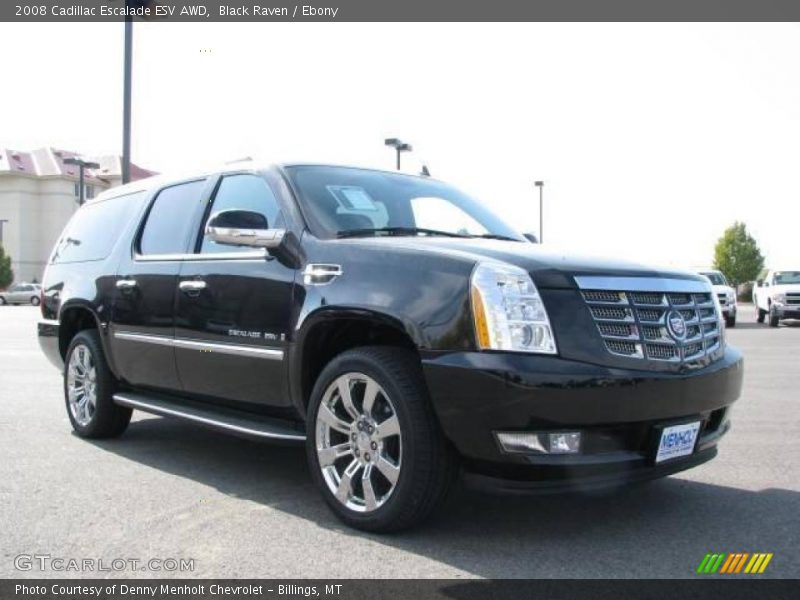 Black Raven / Ebony 2008 Cadillac Escalade ESV AWD