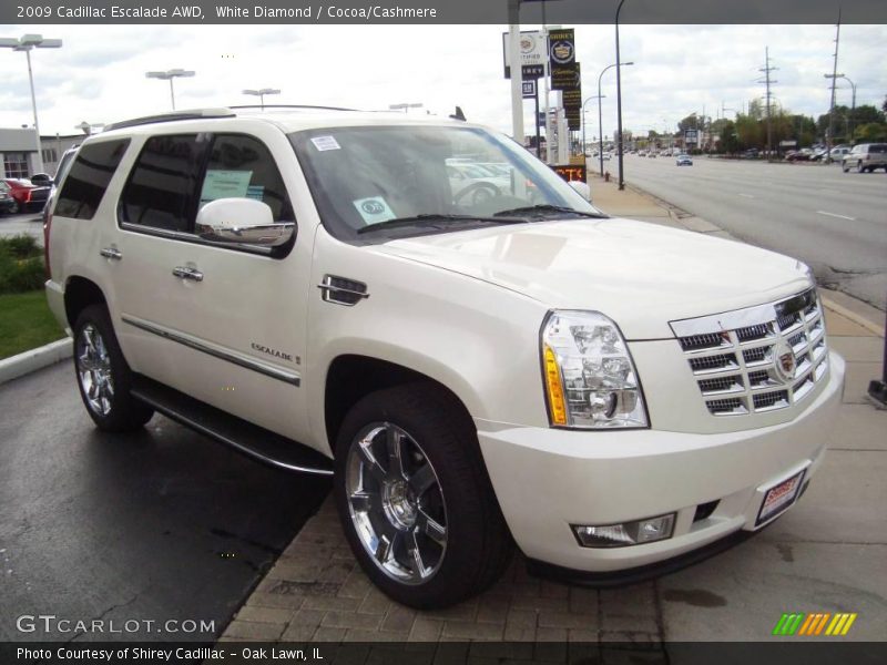 White Diamond / Cocoa/Cashmere 2009 Cadillac Escalade AWD