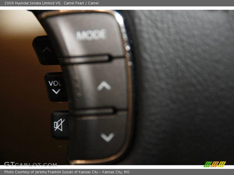 Camel Pearl / Camel 2009 Hyundai Sonata Limited V6