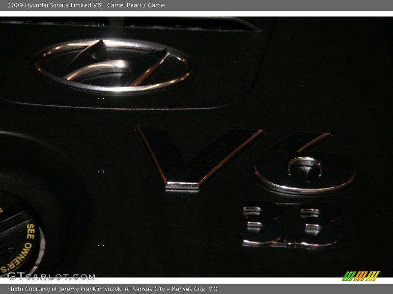 Camel Pearl / Camel 2009 Hyundai Sonata Limited V6