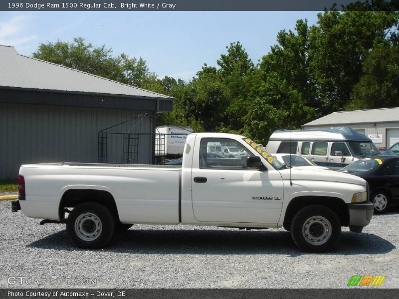 Bright White / Gray 1996 Dodge Ram 1500 Regular Cab
