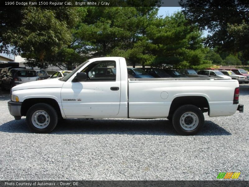 Bright White / Gray 1996 Dodge Ram 1500 Regular Cab