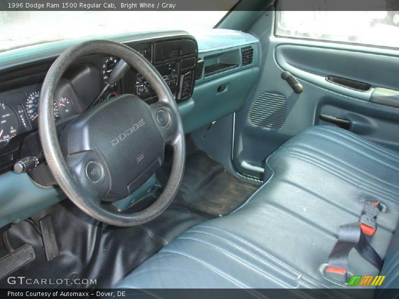 Bright White / Gray 1996 Dodge Ram 1500 Regular Cab