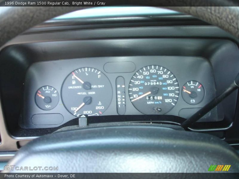 Bright White / Gray 1996 Dodge Ram 1500 Regular Cab
