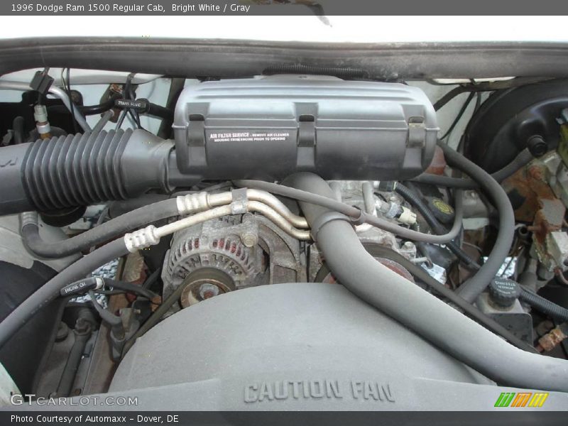 Bright White / Gray 1996 Dodge Ram 1500 Regular Cab