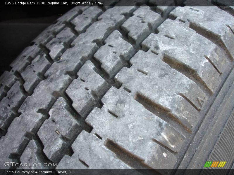 Bright White / Gray 1996 Dodge Ram 1500 Regular Cab