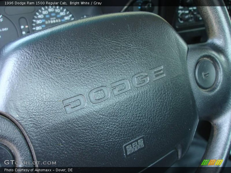 Bright White / Gray 1996 Dodge Ram 1500 Regular Cab