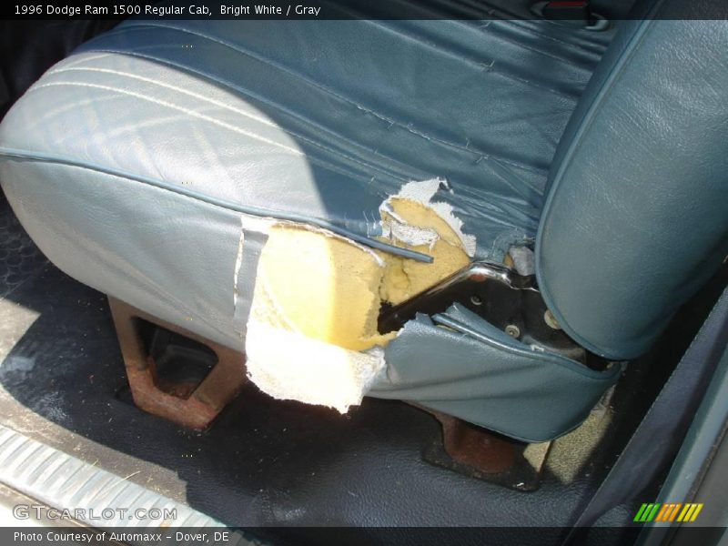 Bright White / Gray 1996 Dodge Ram 1500 Regular Cab