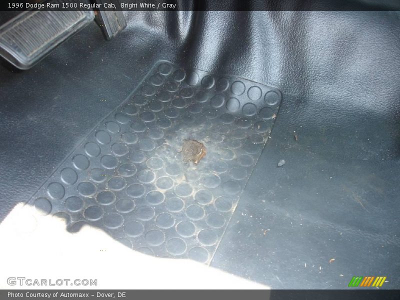 Bright White / Gray 1996 Dodge Ram 1500 Regular Cab