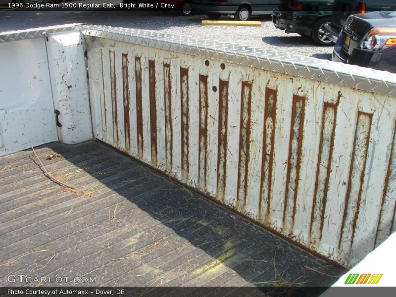 Bright White / Gray 1996 Dodge Ram 1500 Regular Cab
