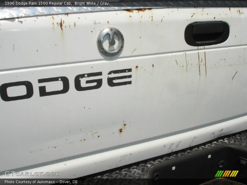 Bright White / Gray 1996 Dodge Ram 1500 Regular Cab