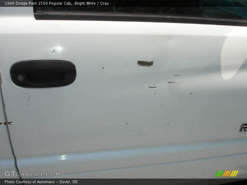 Bright White / Gray 1996 Dodge Ram 1500 Regular Cab