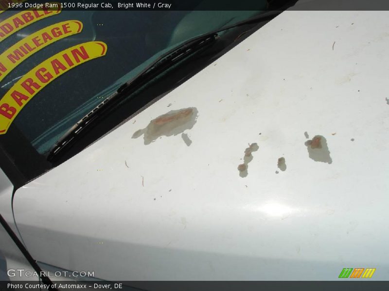 Bright White / Gray 1996 Dodge Ram 1500 Regular Cab