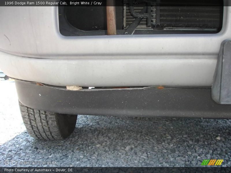 Bright White / Gray 1996 Dodge Ram 1500 Regular Cab