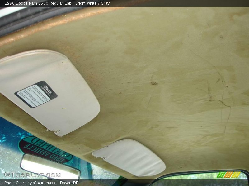 Bright White / Gray 1996 Dodge Ram 1500 Regular Cab