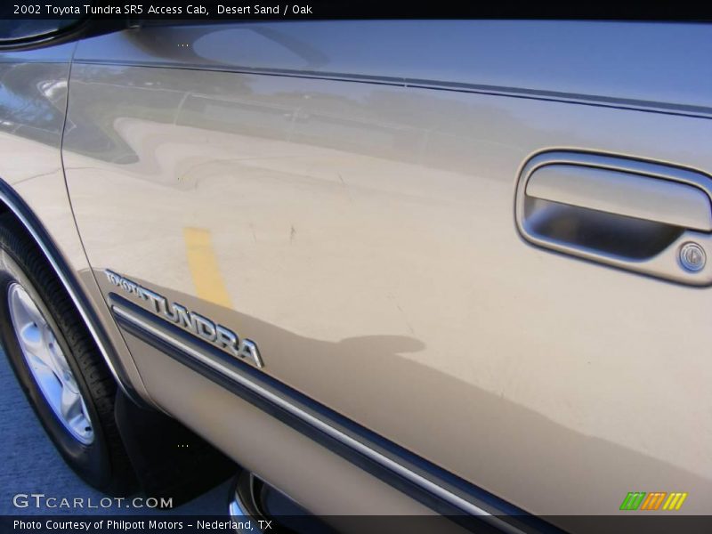 Desert Sand / Oak 2002 Toyota Tundra SR5 Access Cab