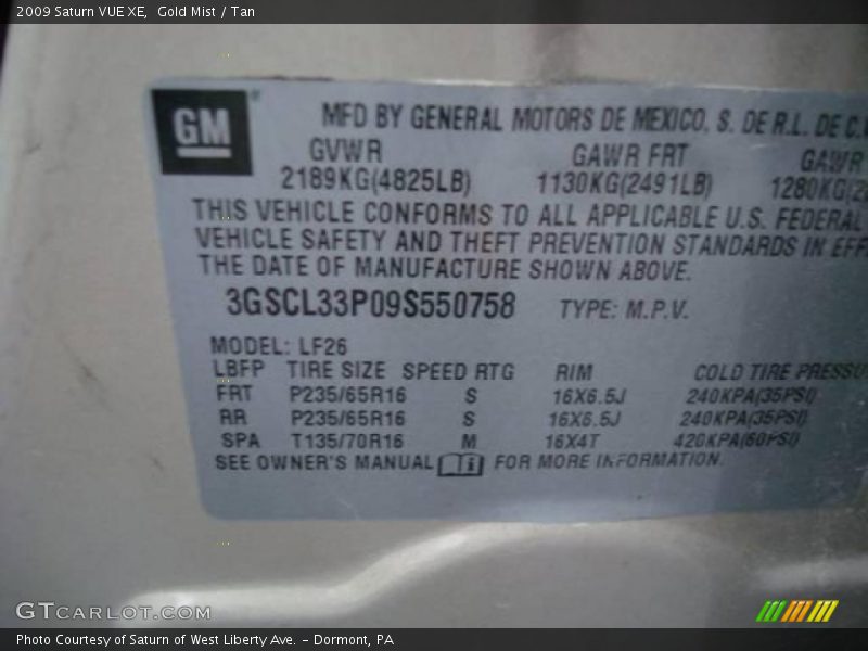 Gold Mist / Tan 2009 Saturn VUE XE