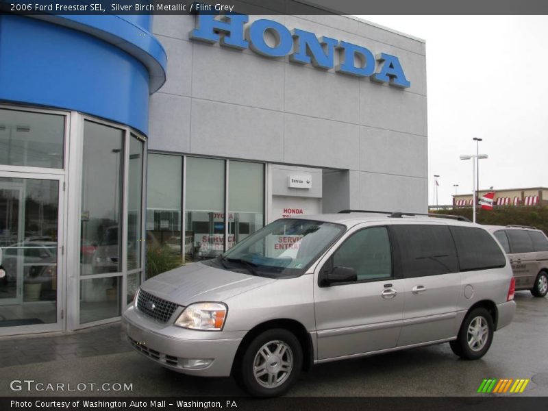 Silver Birch Metallic / Flint Grey 2006 Ford Freestar SEL