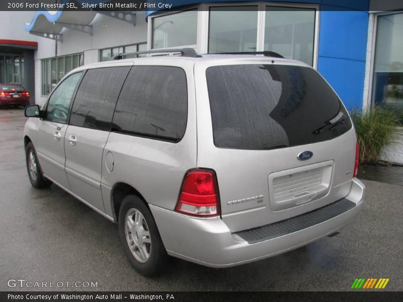 Silver Birch Metallic / Flint Grey 2006 Ford Freestar SEL