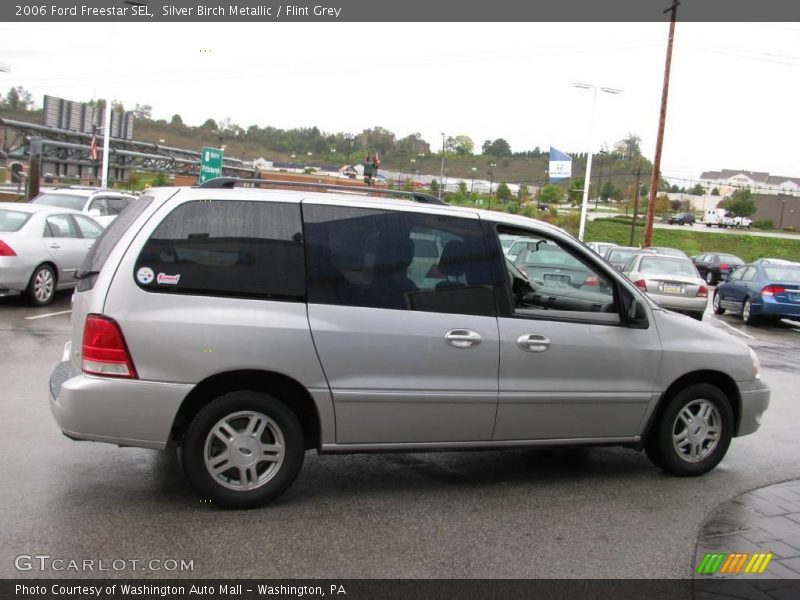 Silver Birch Metallic / Flint Grey 2006 Ford Freestar SEL
