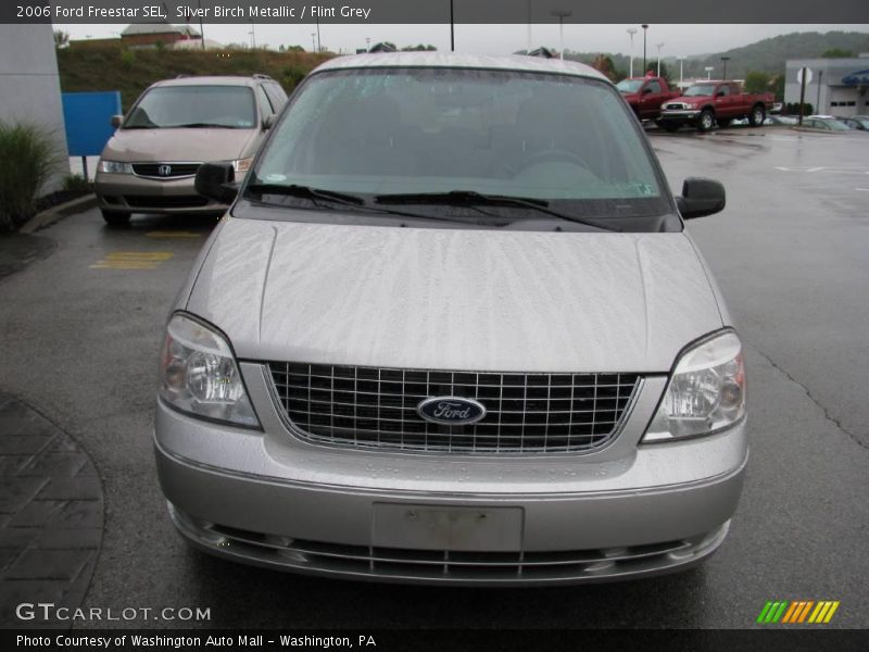 Silver Birch Metallic / Flint Grey 2006 Ford Freestar SEL