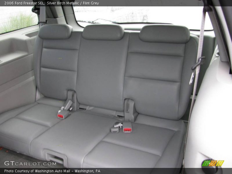 Silver Birch Metallic / Flint Grey 2006 Ford Freestar SEL