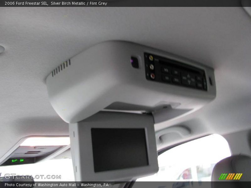 Silver Birch Metallic / Flint Grey 2006 Ford Freestar SEL