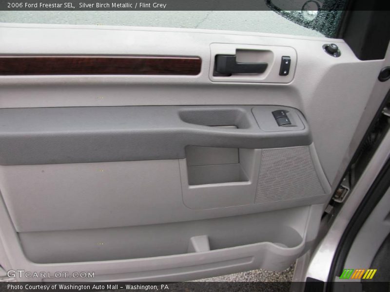 Silver Birch Metallic / Flint Grey 2006 Ford Freestar SEL