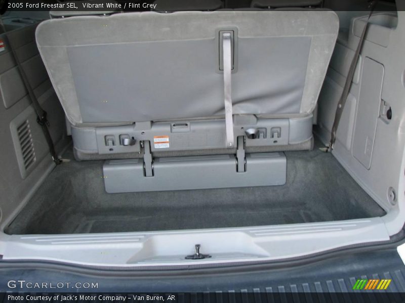 Vibrant White / Flint Grey 2005 Ford Freestar SEL