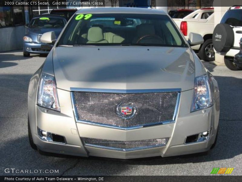 Gold Mist / Cashmere/Cocoa 2009 Cadillac CTS Sedan