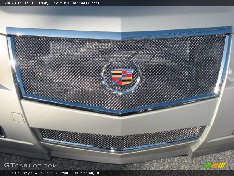 Gold Mist / Cashmere/Cocoa 2009 Cadillac CTS Sedan