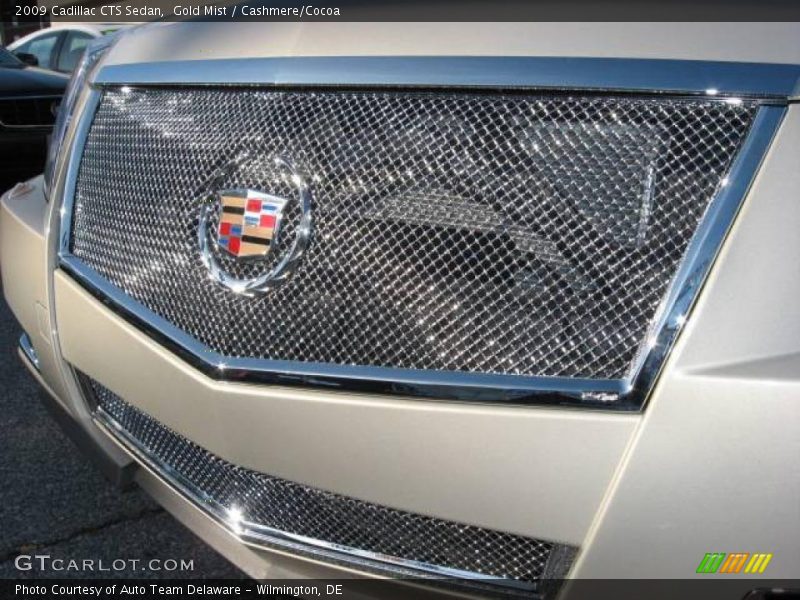 Gold Mist / Cashmere/Cocoa 2009 Cadillac CTS Sedan