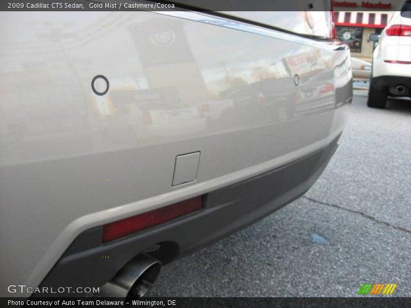 Gold Mist / Cashmere/Cocoa 2009 Cadillac CTS Sedan