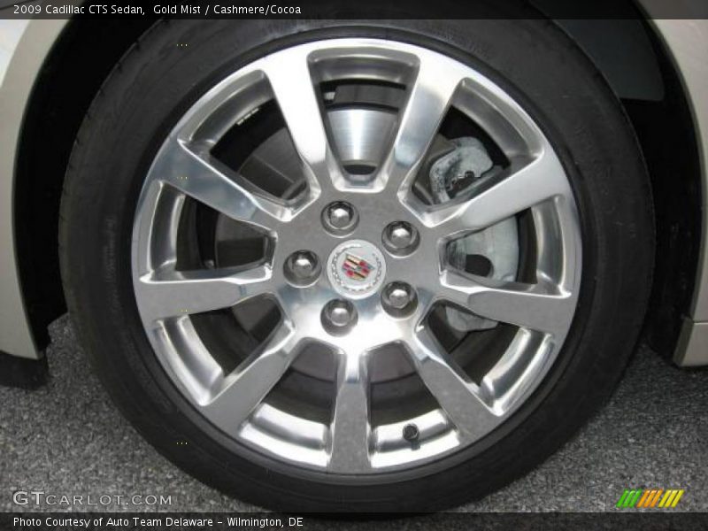 Gold Mist / Cashmere/Cocoa 2009 Cadillac CTS Sedan