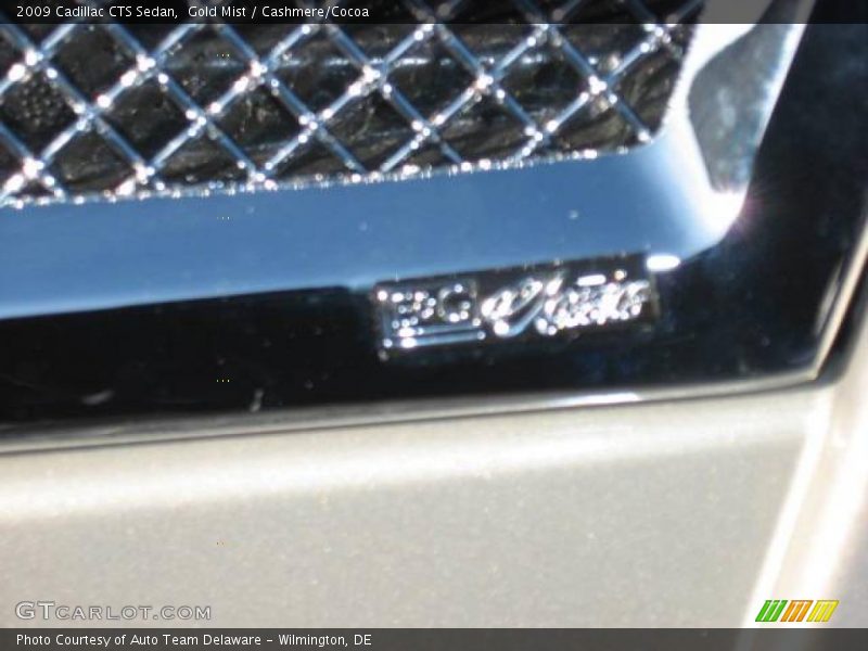 Gold Mist / Cashmere/Cocoa 2009 Cadillac CTS Sedan