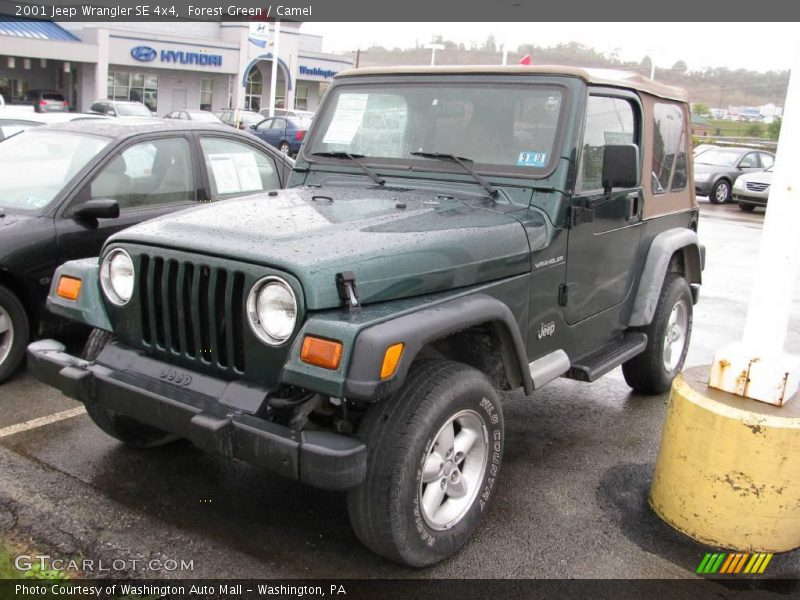 Forest Green / Camel 2001 Jeep Wrangler SE 4x4