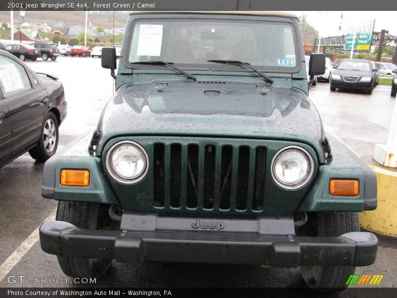 Forest Green / Camel 2001 Jeep Wrangler SE 4x4