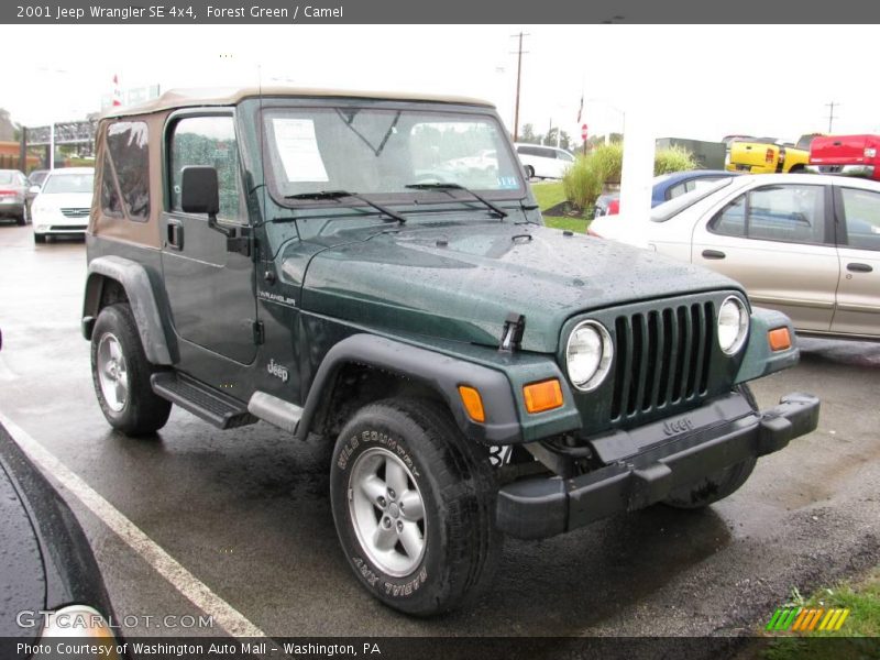 Forest Green / Camel 2001 Jeep Wrangler SE 4x4